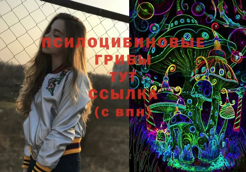 Галлюциногенные грибы Psilocybe  Опочка 